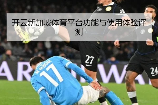 开云新加坡体育平台功能与使用体验评测