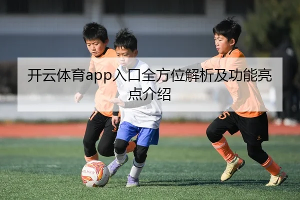 开云体育app入口全方位解析及功能亮点介绍